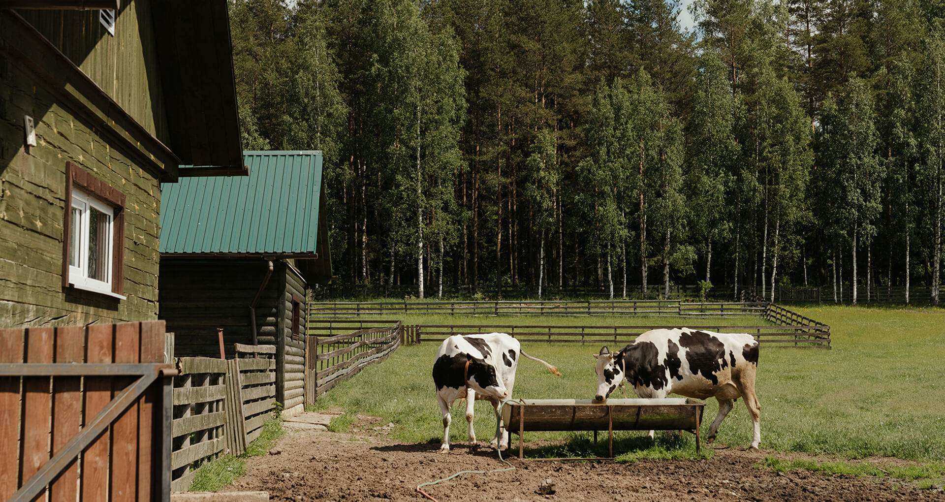 Agricultural Products