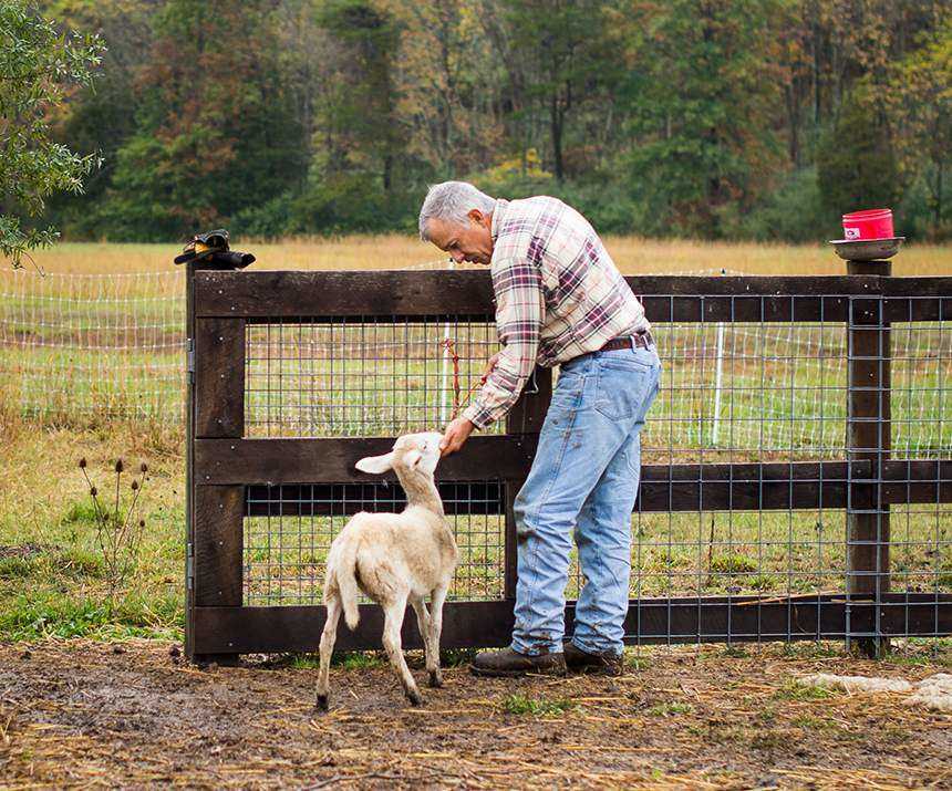 Live Animals Trading